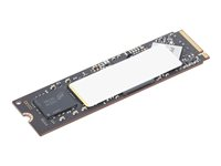 Lenovo - SSD - kryptert - 1 TB - intern - M.2 2280 - PCIe 4.0 (NVMe) - TCG Opal Encryption 2.0 - for ThinkPad T14s Gen 6; X13 Gen 6; ThinkStation P2 Tower Gen 2; P3 Gen 2; P3 Ultra Gen 2 4XB1T87554