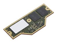 Lenovo - LPDDR5X - modul - 64 GB - CAMM - 7500 MHz - grønn - for ThinkPad P1 Gen 7 21KW 4X71Q25457