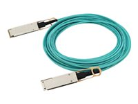 HPE Aruba - 100GBase-AOC direkte tilkoblingskabel - QSFP28 (hann) til QSFP28 (hann) - 30 m - 30 m - fiberoptisk - aktiv - for HPE Aruba 8325-32C, 8325-48Y8C; CX 8360-12C V2, 8360-16Y2C V2 R0Z29A