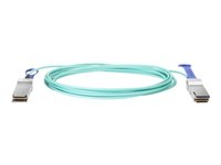 HPE Active Optical Cable - Direkte 100GBase-koblingskabel - QSFP28 til QSFP28 - 5 m - fiberoptisk - aktiv - for HPE SN2410, SN3700, SN3700cM 100, SN3800M 100, SN4600, SN4600cM 100; M-Series SN3800 Q9S71A