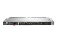 Brocade - Utvidelsesmodul - 32Gb Fibre Channel SFP+ x 28 - for Synergy 12000 Frame Q2E56A