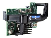 HPE FlexFabric 536FLB - Nettverksadapter - PCIe 3.0 x8 - 10Gb Ethernet x 2 - gjenmarkedsført - for ProLiant BL460c Gen10, BL460c Gen9, WS460c Gen9 766490R-B21