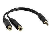 StarTech.com 6 in. 3.5mm Audio Splitter Cable - Stereo Splitter Cable - Gold Terminals - 3.5mm Male to 2x 3.5mm Female - Headphone Splitter (MUY1MFF) - Lydsplitter - mini-phone stereo 3.5 mm hann til mini-phone stereo 3.5 mm hunn - 15.2 cm - for P/N: MU1MMS, PCISOUND4CH MUY1MFF