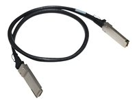 HPE X240 Direct Attach Cable - Nettverkskabel - QSFP+ til QSFP+ - 1 m - for Apollo 4200, 4200 Gen10; Edgeline e920; FlexFabric 12900E 36, 12XXX; ProLiant e910t 2U JG326A