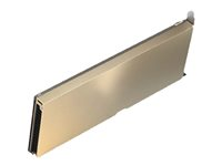 NVIDIA A10 - GPU-beregningsprosessor - A10 - 24 GB GDDR6 - PCIe 4.0 - for ProLiant DL345 Gen10 Plus, DL380 Gen10 Plus R9W59C