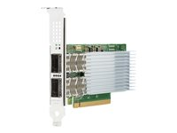 Intel E810-CQDA2 - Nettverksadapter - PCIe 4.0 x16 - 100 Gigabit QSFP28 x 2 - for Edgeline e920; ProLiant DL325 Gen10, DL345 Gen10, DL360 Gen10, DL380 Gen10, DL385 Gen10 P21112-B21